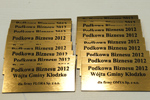 Tabliczki na puchary z laminatu, kolor złoty szczotkowany